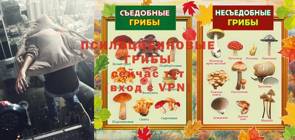 Альфа ПВП Алексин